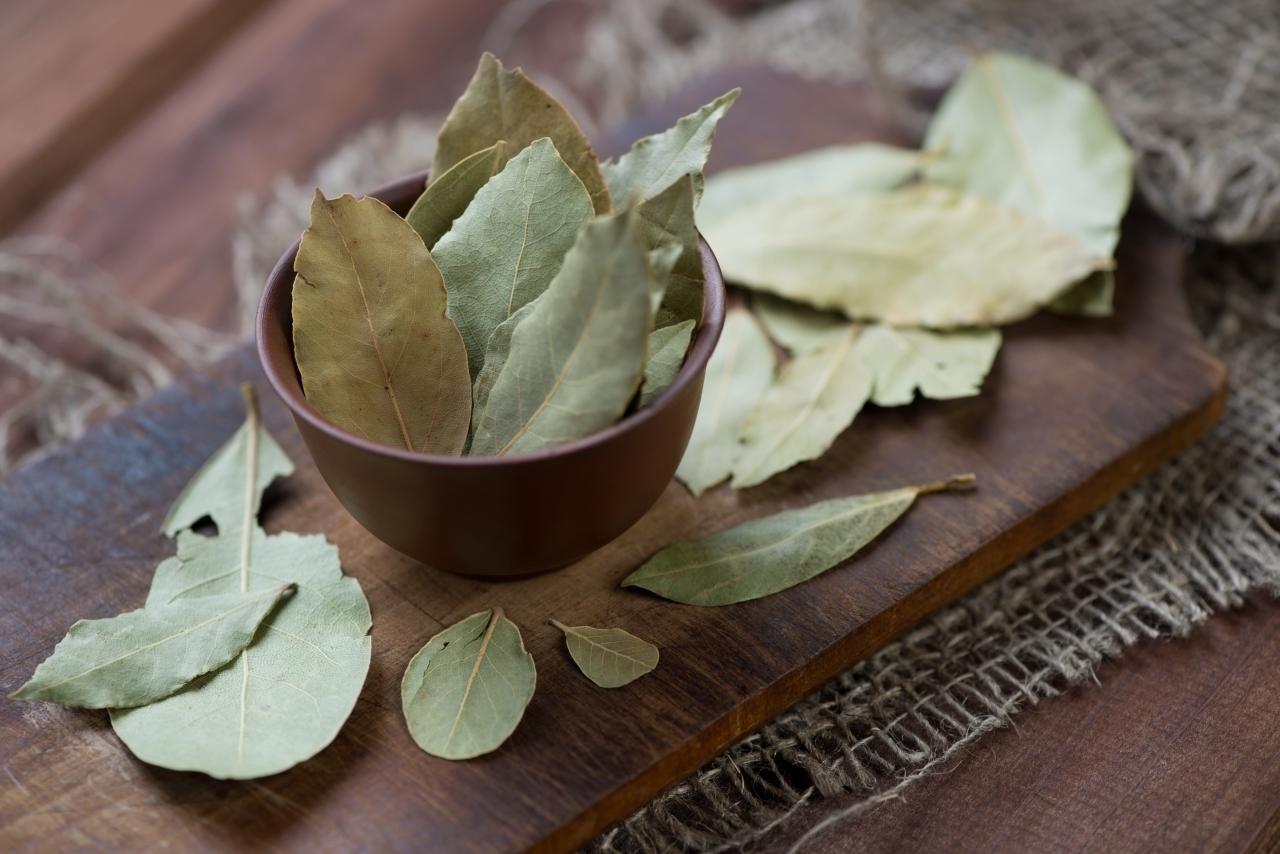 The Ultimate Bay Leaf Substitutes for Delicious Home Cooking