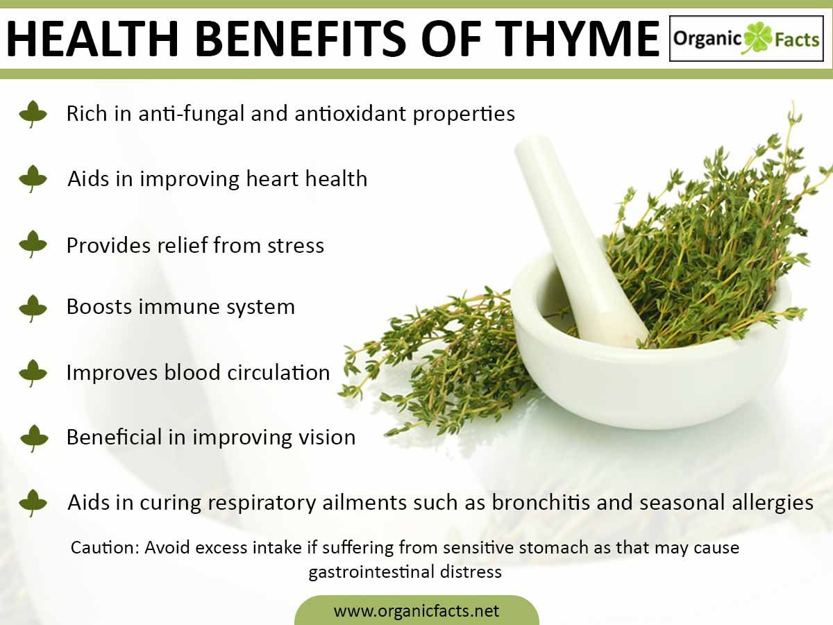 Thyme Piece: A Simple Herb with Incredible Flavor Benefits