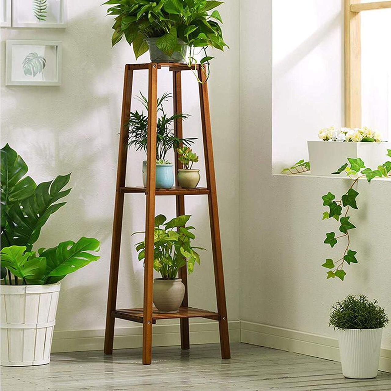 Best Plant Stands for Large Indoor Plants