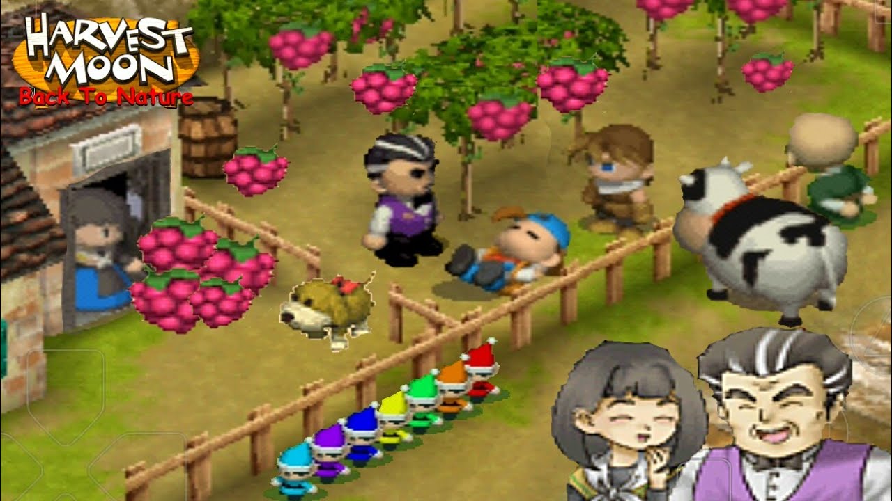 Harvest Moon Orchard Unveiled: Best Activities & Attractions