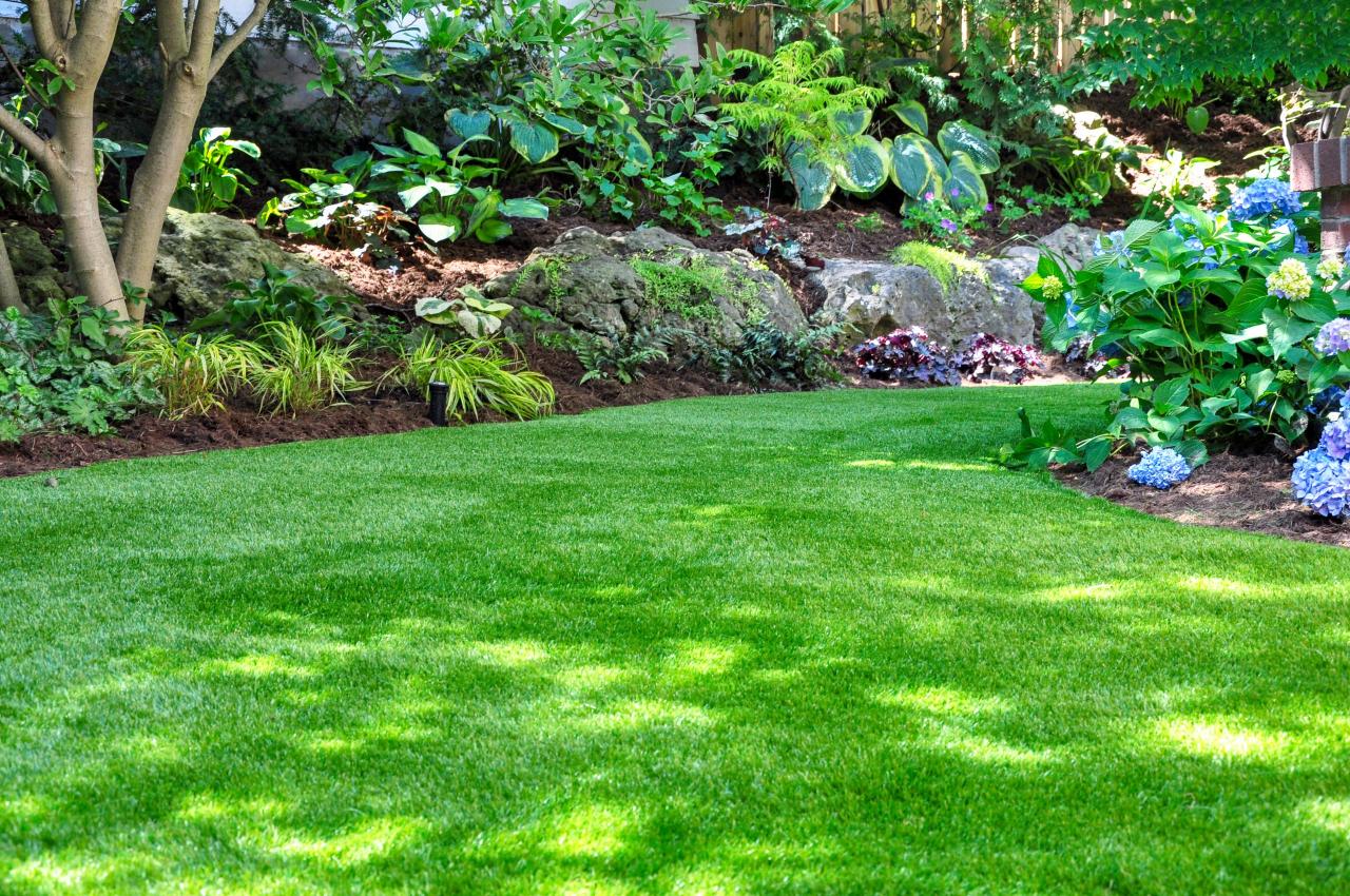 Can You Really Grow a Gorgeous Lawn by Planting Grass Seed in September?